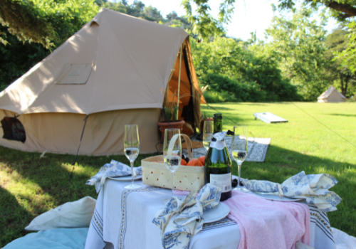A cozy campsite with a tent, a table set with glasses and a picnic basket, surrounded by greenery.