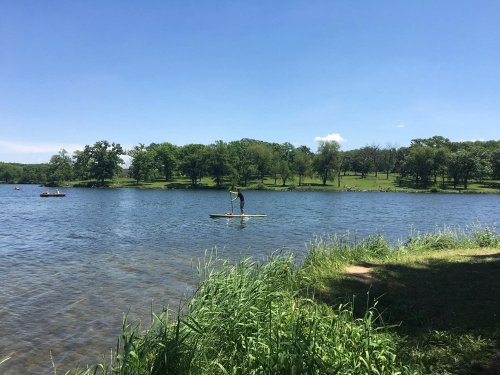A person paddleboarding on a calm lake surrounded by green trees and a clear blue sky.