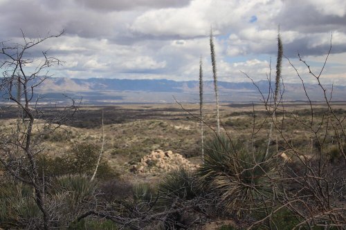 A vast desert landscape with sparse vegetation, distant mountains, and a cloudy sky.