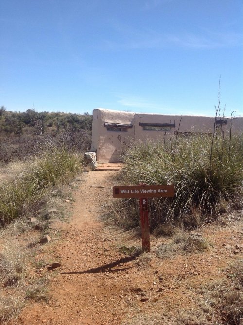 Path leading to a wildlife viewing area, with a sign and a small building surrounded by grass and shrubs under a clear sky.