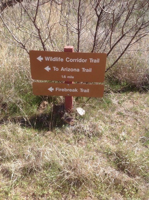 Signpost indicating directions to Wildlife Corridor Trail, Arizona Trail (1.6 miles), and Firebreak Trail.