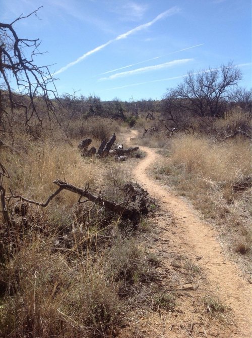 A winding dirt path through a dry, grassy landscape with sparse trees and blue sky.