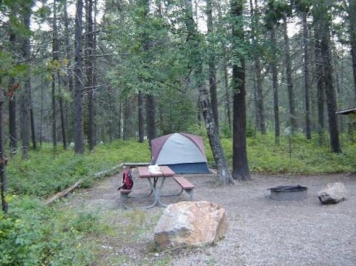A campsite in a forest with a tent, picnic table, and fire pit surrounded by trees and greenery.