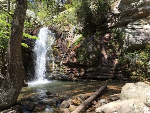 A serene waterfall cascades over rocks into a clear pool, surrounded by lush greenery and sunlight filtering through trees.