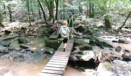 Three children crossing a wooden bridge over a stream in a lush, green forest.