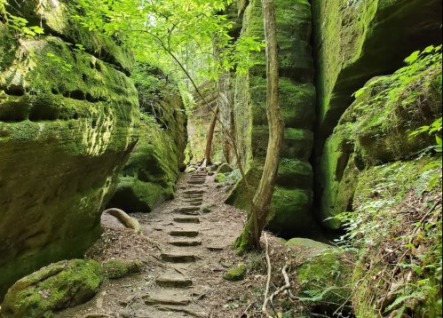 A narrow, moss-covered path winds through tall, green rock formations and trees in a lush forest.