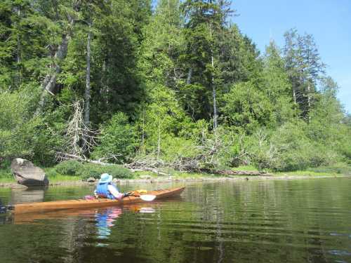 A person in a kayak paddles on calm water, surrounded by lush green trees and a rocky shoreline.