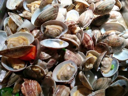 A close-up of various clams in their shells, some open, revealing their soft interiors.