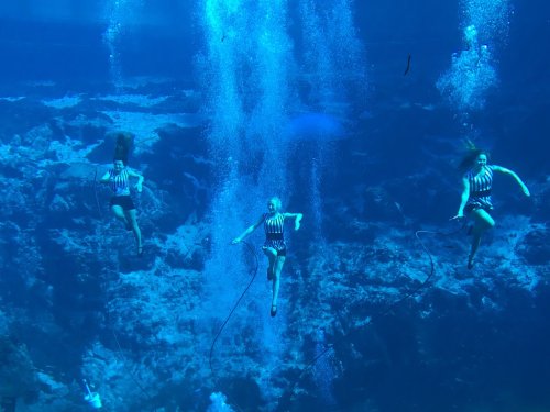 Three women in striped swimsuits swim underwater, surrounded by bubbles and a blue ocean backdrop.
