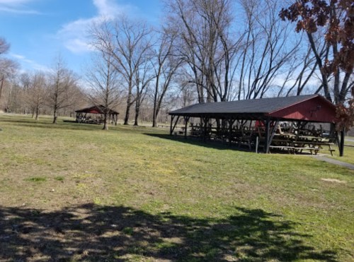 Two picnic shelters in a grassy area surrounded by bare trees under a clear blue sky.