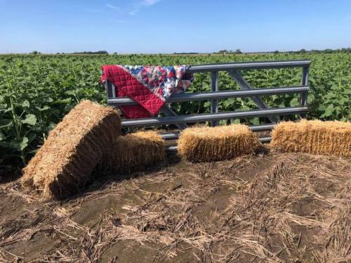 A quilt draped over a metal fence, with hay bales nearby, set against a backdrop of green crops under a clear blue sky.