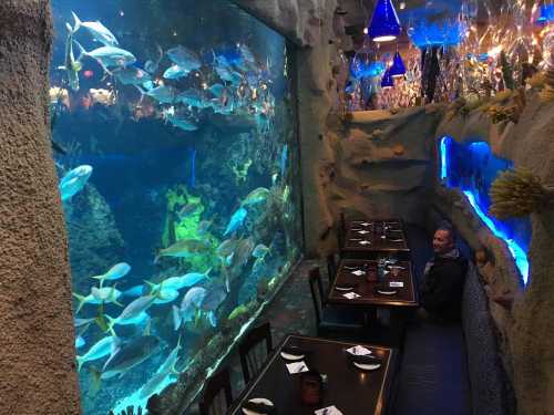 A restaurant with a large aquarium filled with colorful fish, featuring dark wooden tables and a cozy seating area.