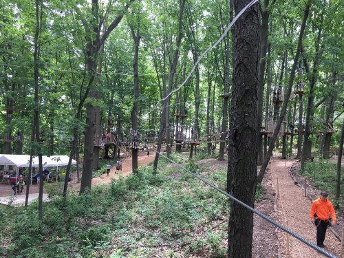 A forested area with a ropes course, zip lines, and people navigating the obstacles among the trees.