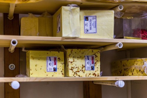 Blocks of cheese in various flavors stored on wooden shelves, labeled with tags.