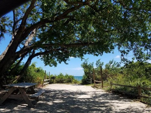 A sandy path framed by trees leads to a view of the ocean under a clear blue sky.