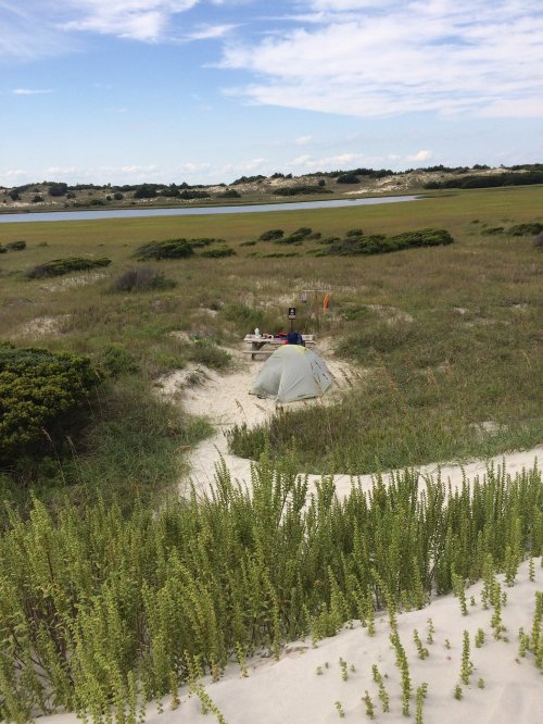 A tent set up in a grassy area near a sandy path, with a scenic view of a marsh and distant trees under a blue sky.