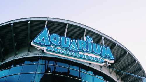 Sign for an aquarium featuring the text "Aquarium: An Underwater Adventure" against a clear sky.