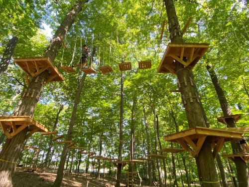 A treetop adventure course with wooden platforms and rope obstacles among lush green trees.