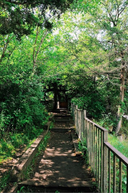 A narrow path through lush greenery, leading into a shaded area with trees and a wooden railing on one side.