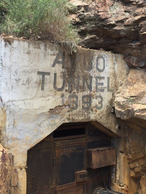 Entrance to a weathered tunnel marked "Aldo Tunnel 393," surrounded by rocky terrain and vegetation.