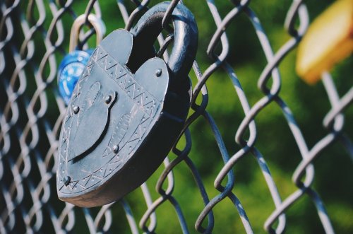 A close-up of a heart-shaped padlock hanging on a chain-link fence, with greenery blurred in the background.