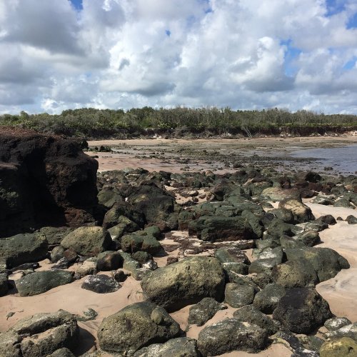 Rocky shoreline with scattered boulders, sandy areas, and a backdrop of greenery under a partly cloudy sky.