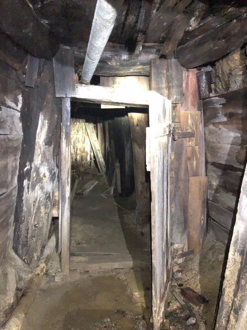 Dimly lit underground tunnel with wooden supports and a wooden door, showing rough, earthy walls and a dirt floor.