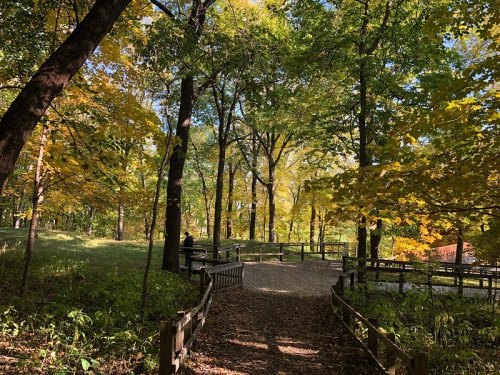 A serene forest path surrounded by trees with autumn foliage, leading to a wooden deck in a peaceful setting.