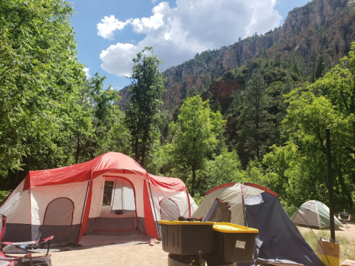 A campsite with two tents surrounded by trees and mountains under a blue sky with fluffy clouds.