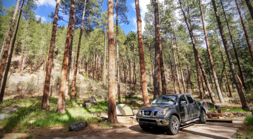 A black truck parked near a campsite surrounded by tall pine trees and green foliage under a blue sky.
