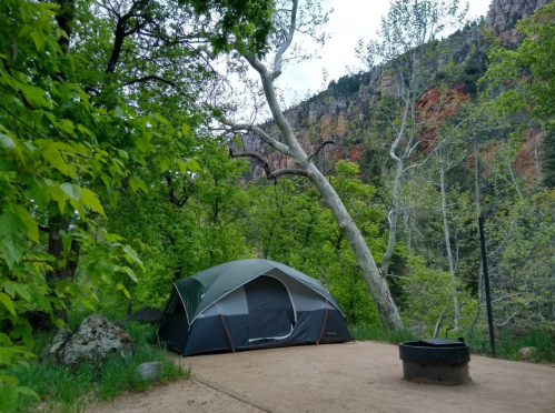 A tent set up in a lush green campsite surrounded by trees and rocky terrain, with a mountain in the background.