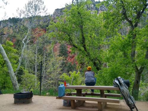 A person sits on a picnic table in a lush green area, surrounded by trees and rocky cliffs in the background.