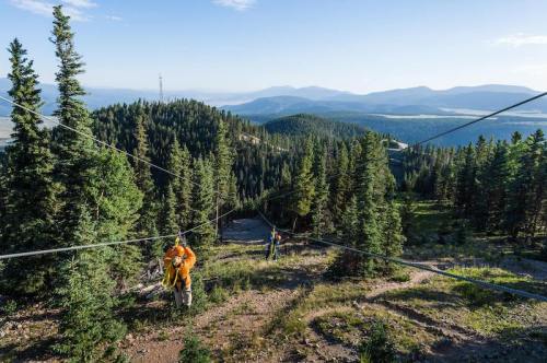 Two people ziplining through a forested mountain landscape with distant hills and a clear blue sky.