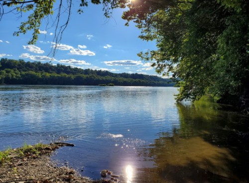 A serene river scene with clear blue water, lush green trees, and a bright sky dotted with clouds.