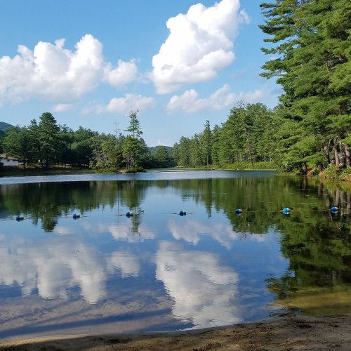A serene lake surrounded by trees, reflecting blue skies and fluffy clouds, with a sandy shore in the foreground.