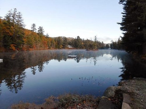 A serene lake surrounded by trees, reflecting the calm water and mist in the early morning light.