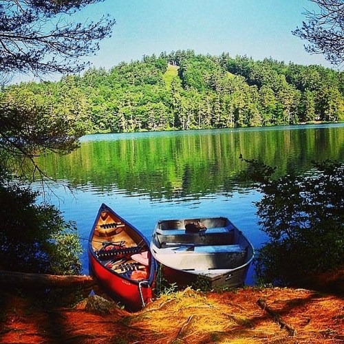 Two canoes, one red and one silver, are moored by a calm lake surrounded by lush green trees under a clear blue sky.