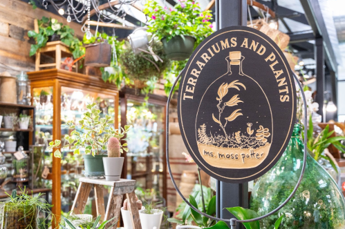 A sign reading "Terrariums and Plants" in a lush plant shop filled with greenery and decorative pots.