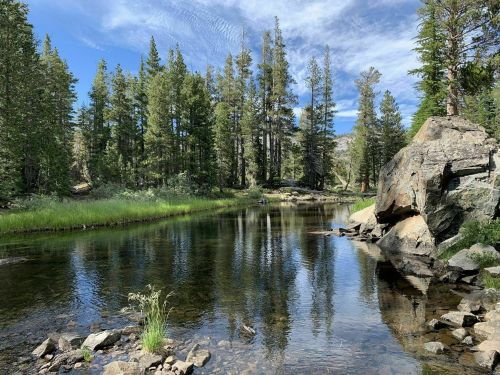 A serene forest scene with a calm river reflecting trees and blue sky, surrounded by rocks and greenery.