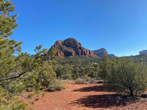 A scenic view of a red rock formation surrounded by greenery under a clear blue sky.