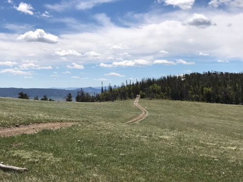A dirt path winds through a grassy field, surrounded by trees and distant mountains under a partly cloudy sky.