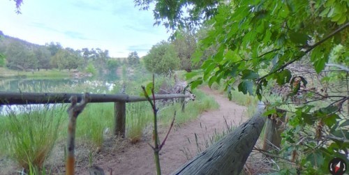 A serene path by a lake, surrounded by greenery and trees, with a wooden fence in the foreground.