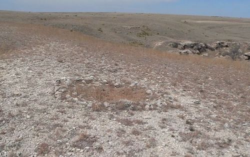 A barren landscape with sparse vegetation and a circular stone formation on the ground.