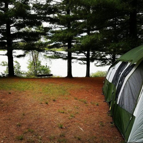 A tent set up near a calm lake, surrounded by tall trees and grassy ground.
