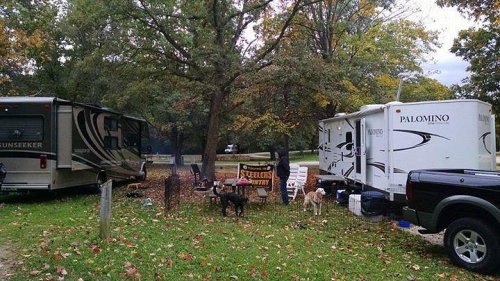 Two RVs parked in a wooded area with a sign for a campground, surrounded by trees and a few dogs.