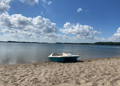 A paddle boat rests on a sandy beach by a calm lake under a blue sky with fluffy clouds.