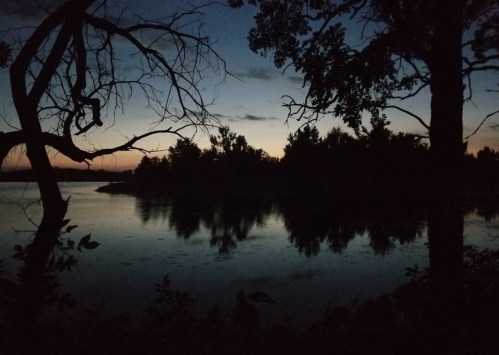 Silhouette of trees against a twilight sky reflecting on calm water.