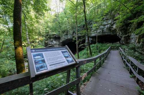 A wooden walkway leads to cave entrances, surrounded by lush green trees and a sign detailing the area.