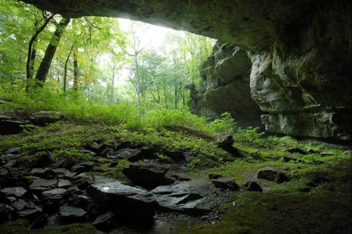 A serene cave entrance surrounded by lush greenery and rocks, with soft light filtering through the trees.