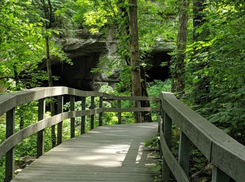 A wooden walkway leads through lush greenery towards a cave entrance in a forested area.